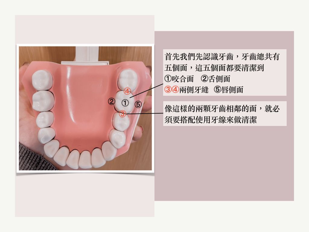 每天刷牙為何蛀牙還會找上門？